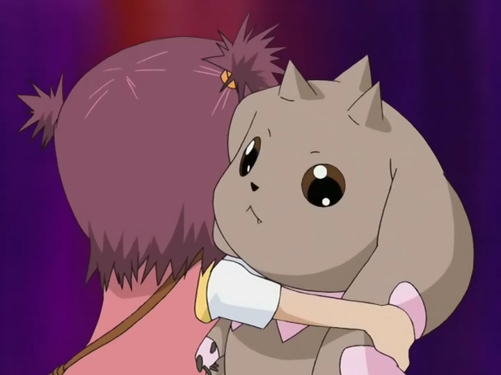 Digimon adventure 03 (Raccon)